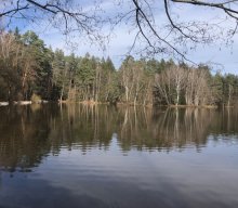 Wanderung Fischbach 03/2023